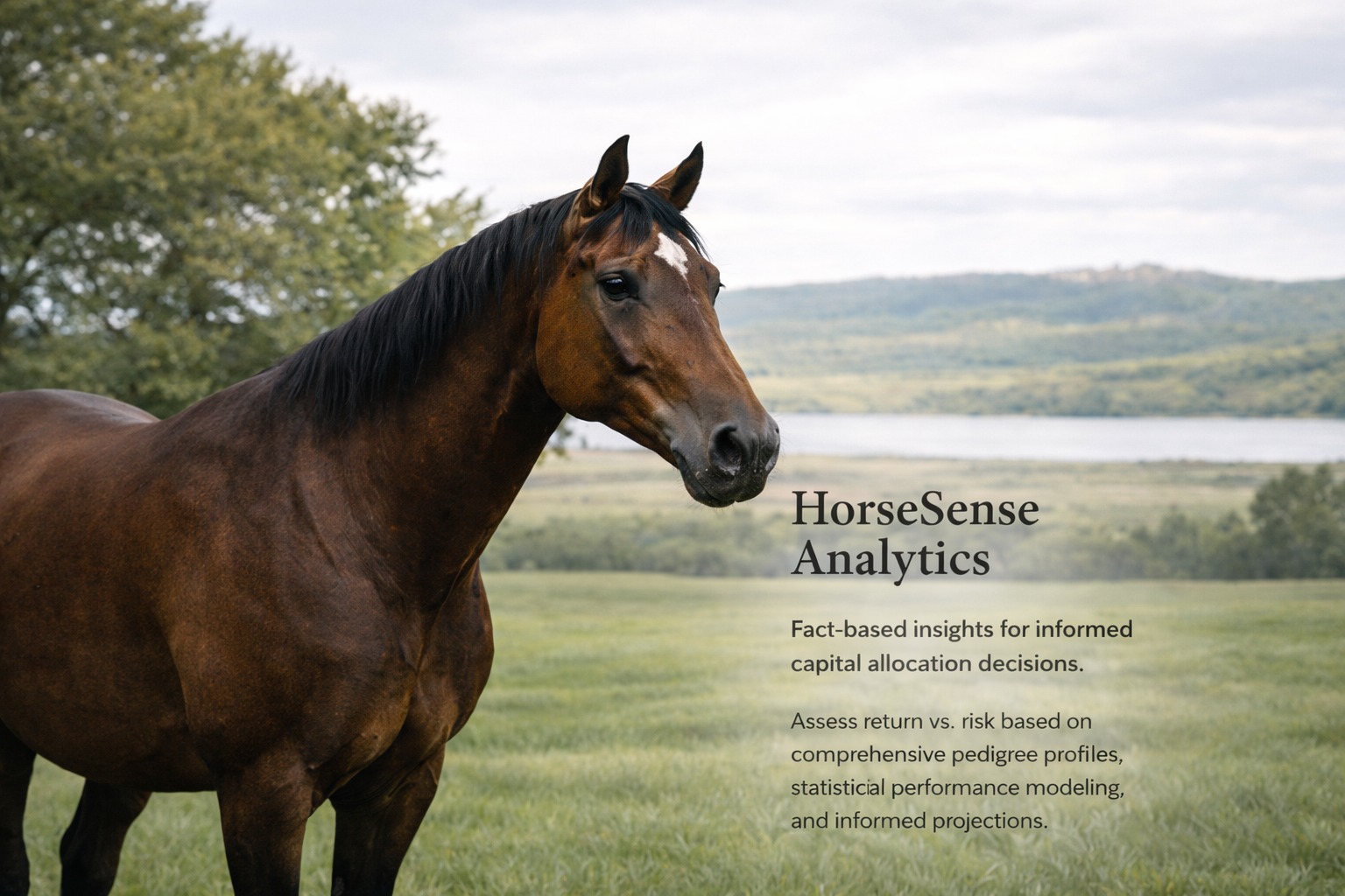 How HorseSense works with pedigree analytics and commercial breeding decisions